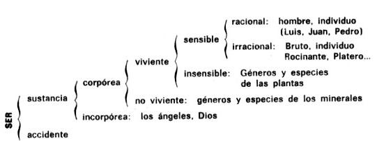 porfirio.jpg